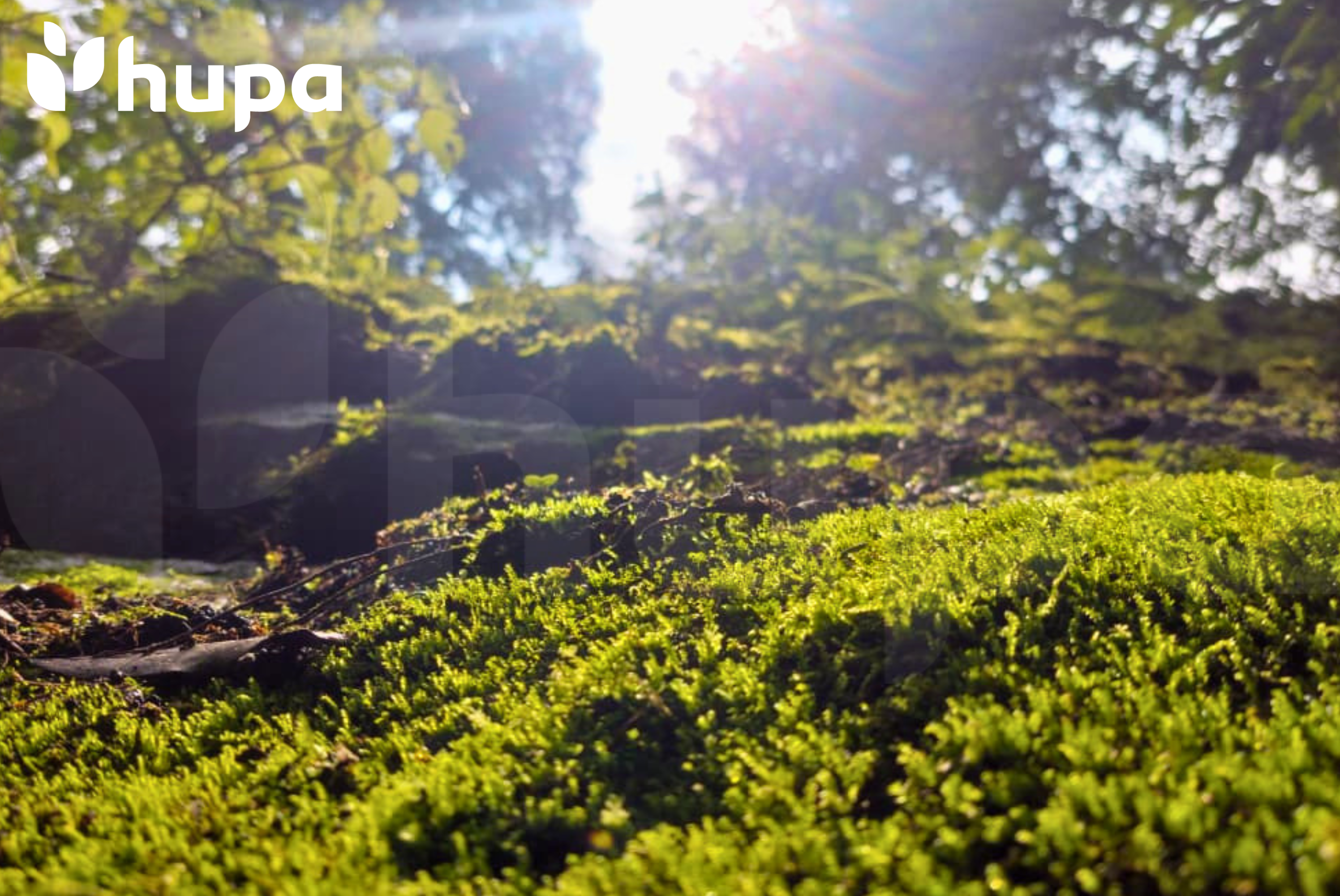 Caminata Inaugural HUPA