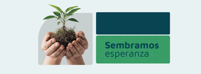 Sueños cumplidos