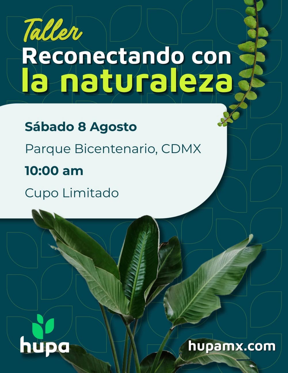 Taller Reconectando con la Naturaleza